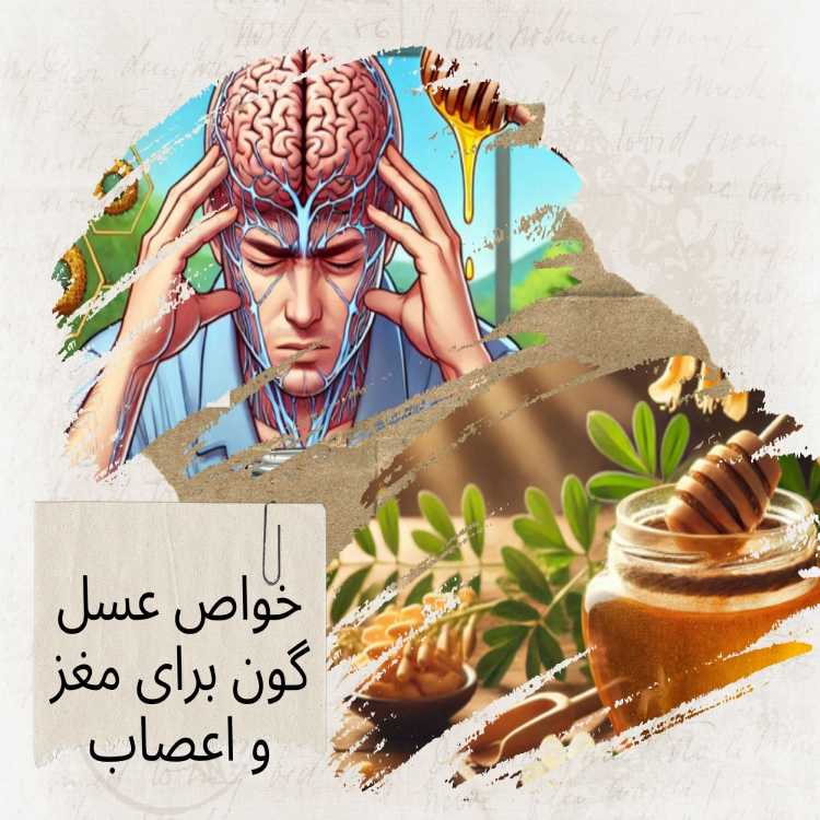 خواص عسل گون برای مغز و اعصاب